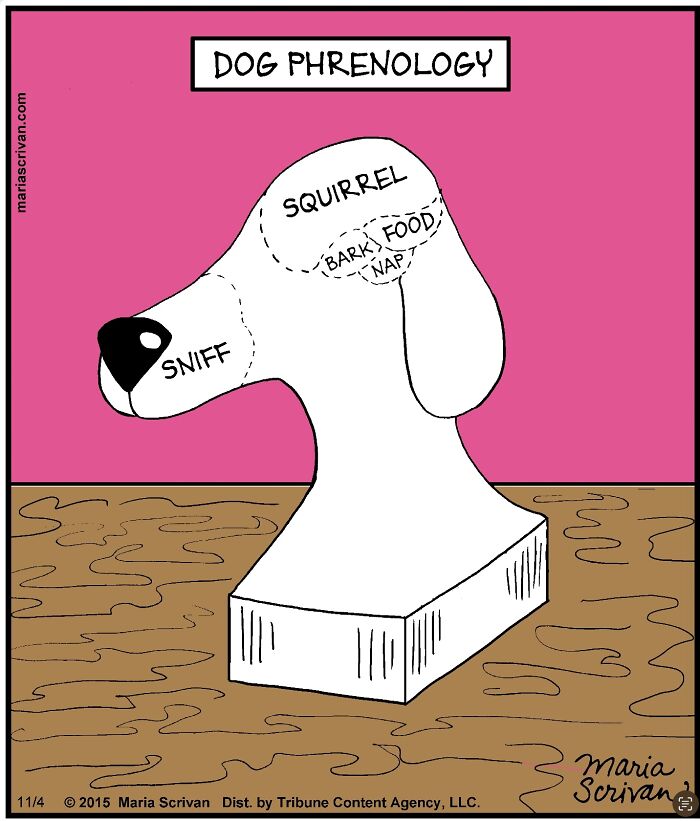 Cartoonist Maria Scrivan Giggles Her Audience Only Through Single-Panel (44 New Pics)