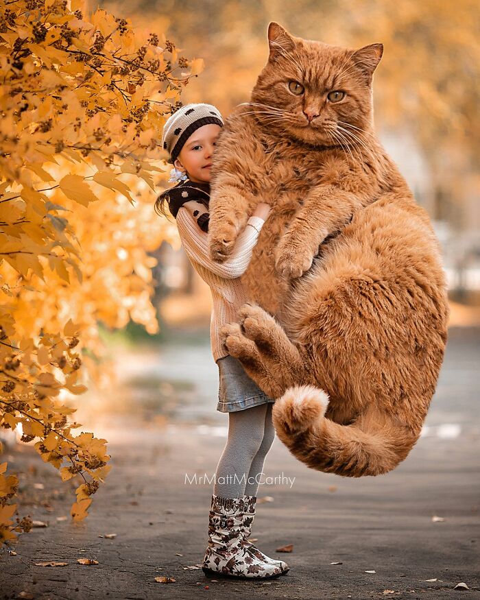 Artist Creates A Parallel World Where There Are Giant Cats Everywhere — And Everyone Thinks It's Normal (New Pics)