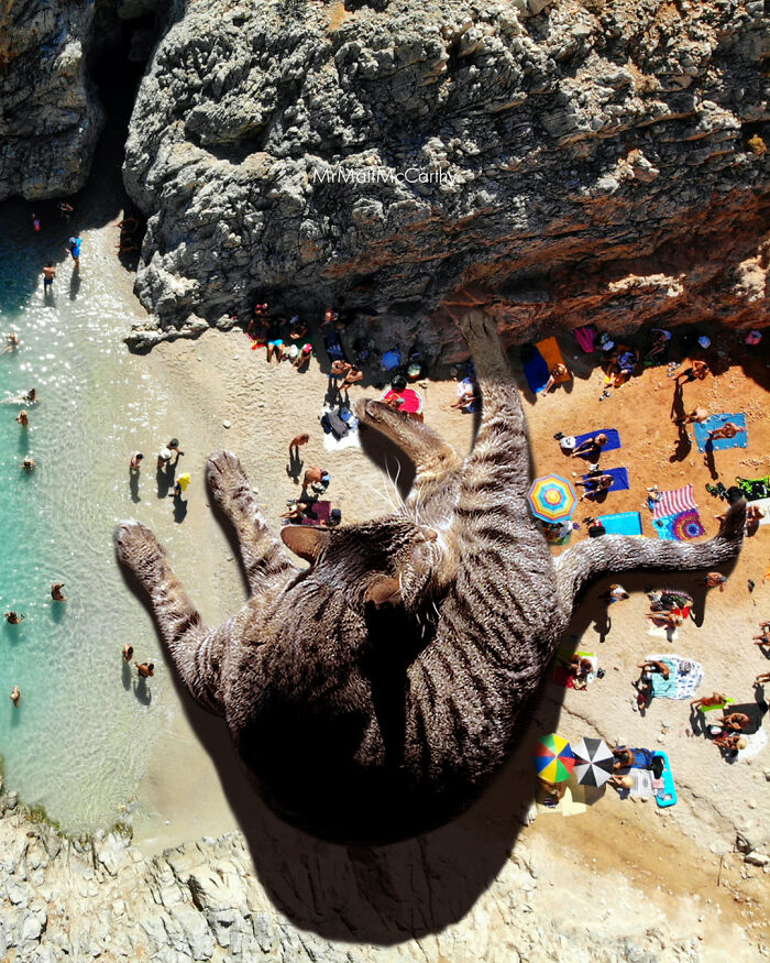 Artist Creates A Parallel World Where There Are Giant Cats Everywhere — And Everyone Thinks It's Normal (New Pics)