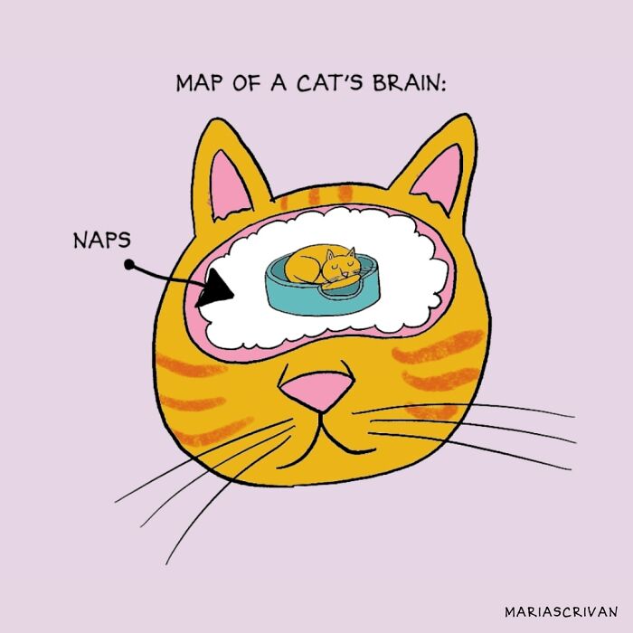 Cartoonist Maria Scrivan Giggles Her Audience Only Through Single-Panel (44 New Pics)