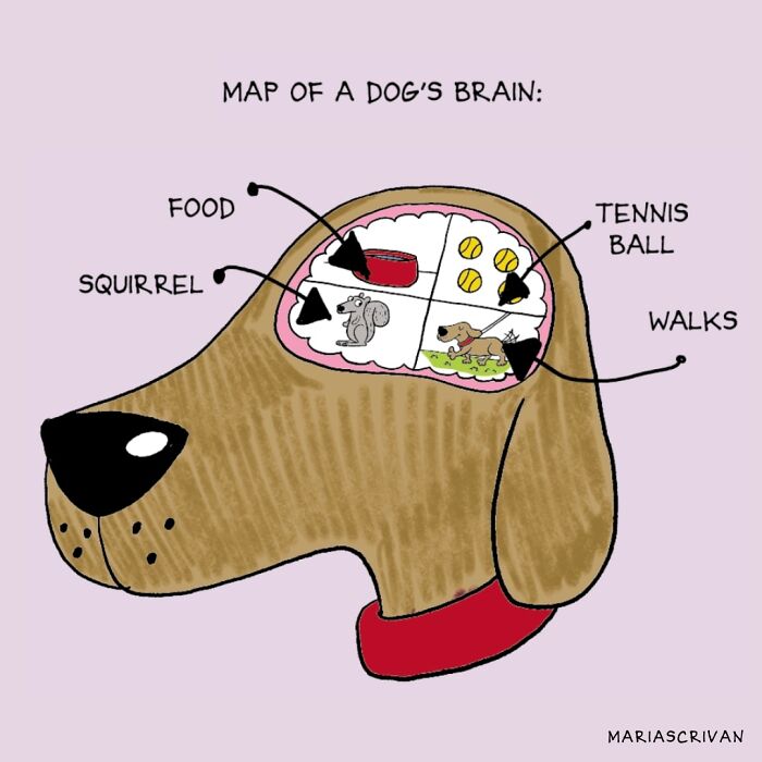 Cartoonist Maria Scrivan Giggles Her Audience Only Through Single-Panel (44 New Pics)