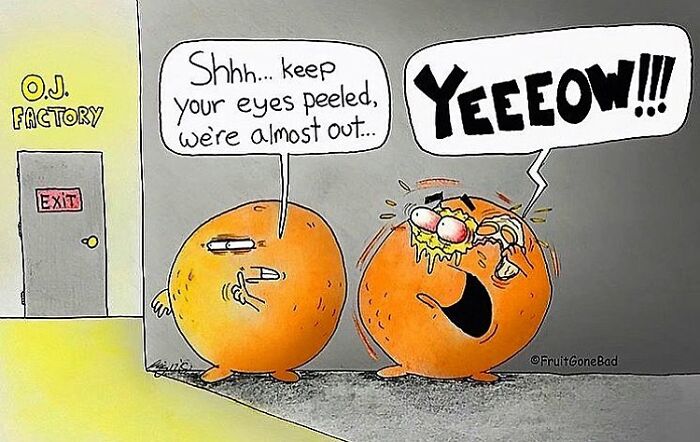 41 New Times NY Cartoonist Captures Dark Humor In One-Panel Food Comics