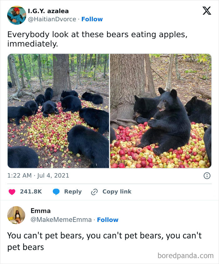 Adorably Dangerous !