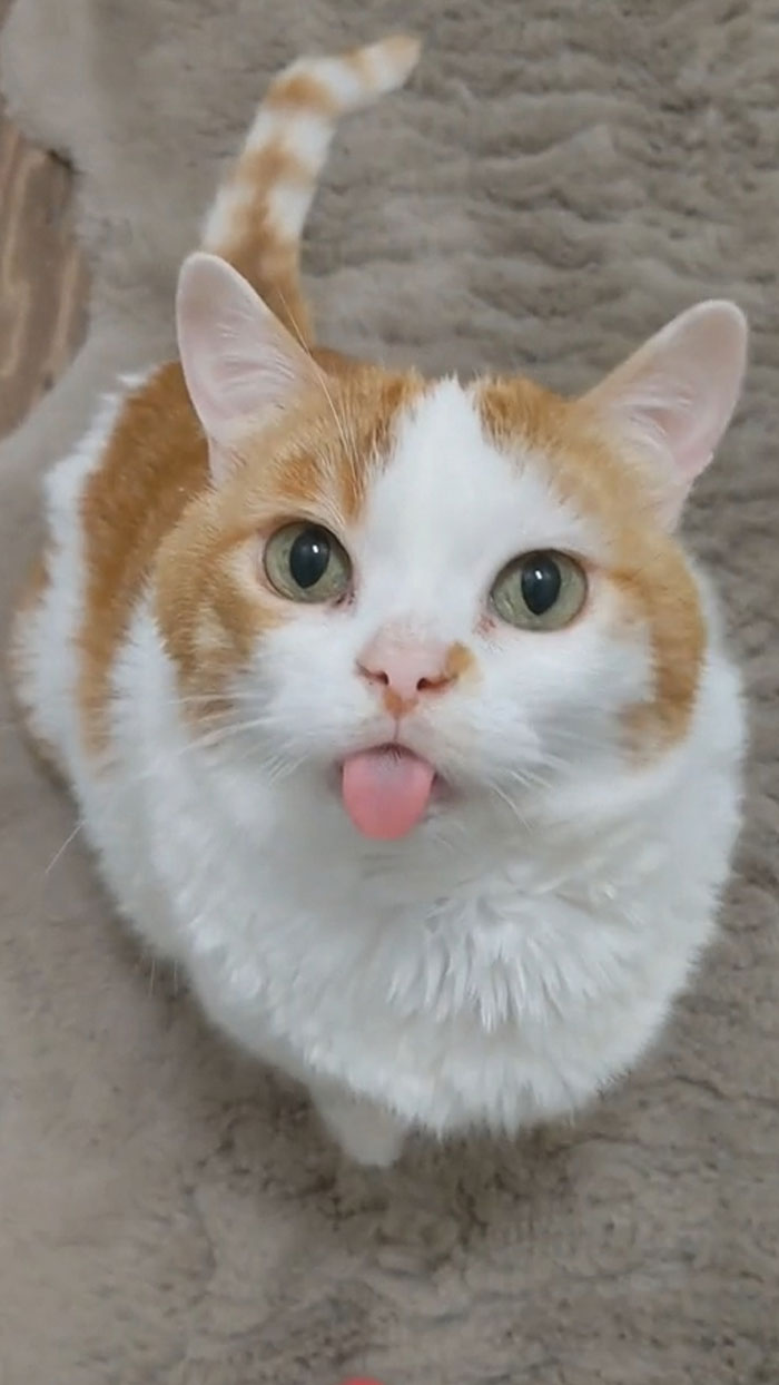 Just Look At Him Sitting Proud With His Favourite Ball And Everything