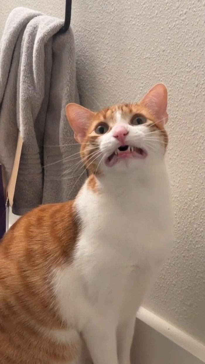 Come To Think Of It, What Is The Word I’m Looking For?