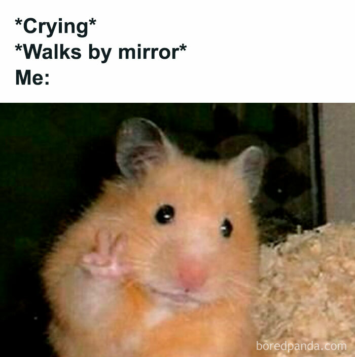 Self-Care-Mental-Health-Memes