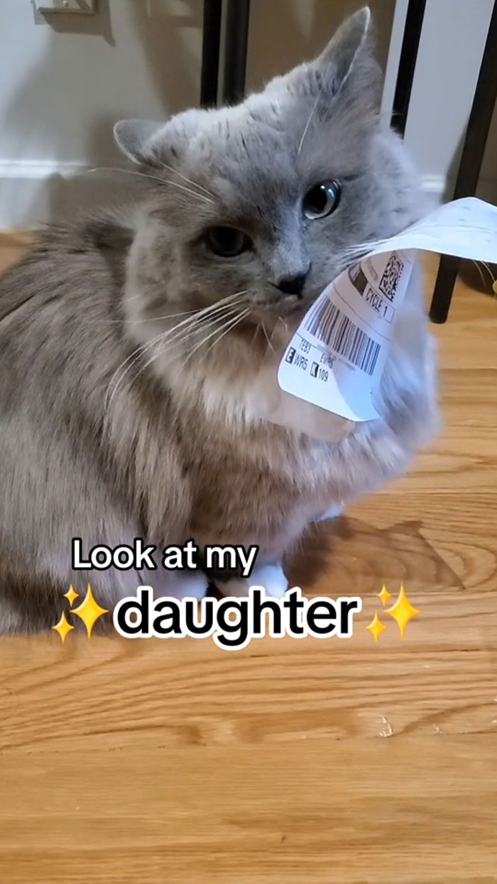 Throwback To The Time Stevie Thought She'd Try And Mail Herself