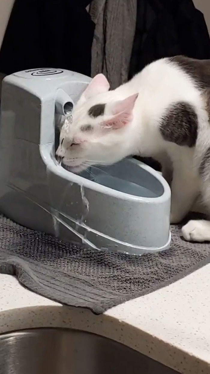 “Pride Is Not The Word I’m Looking For..”