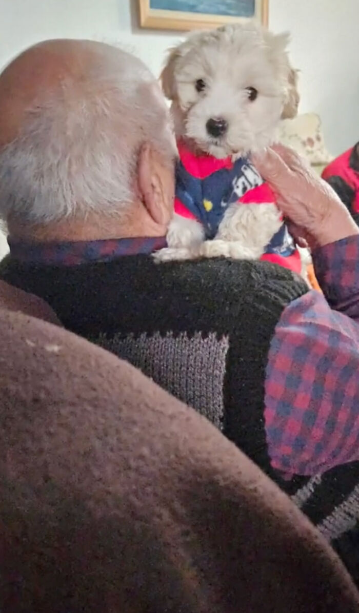 Granddaughter Gives Her 96 Y.O. Grandpa A Puppy, Sees His Remarkable Transformation Granddaughter Gives Her 96 Y.O. Grandpa A Puppy, Sees His Remarkable Transformation