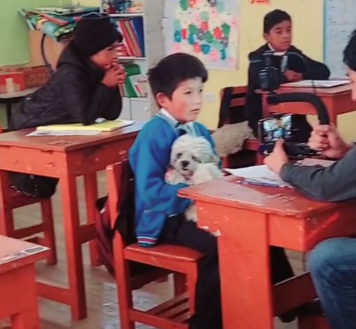 Student Going Through Hardships Asks Teacher If He Can Bring His Dog To School Student Going Through Hardships Asks Teacher If He Can Bring His Dog To School