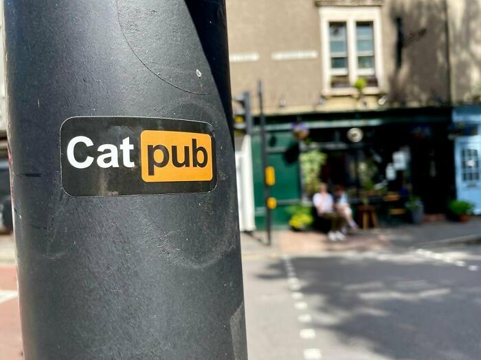 Este hombre abrió un pub y empezó a acoger gatos callejeros: así nació el primer pub de gatos de Bristol Este hombre abrió un pub y empezó a acoger gatos callejeros: así nació el primer pub de gatos de Bristol