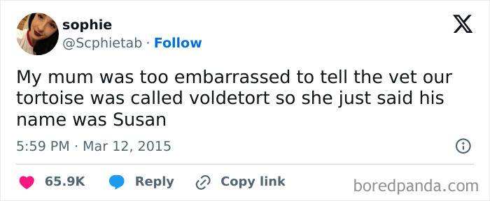 Animal-Humors-Funny-Memes