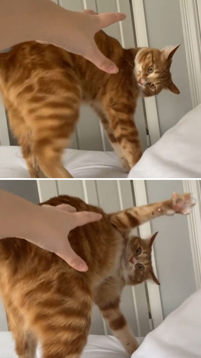 He Is Really Something