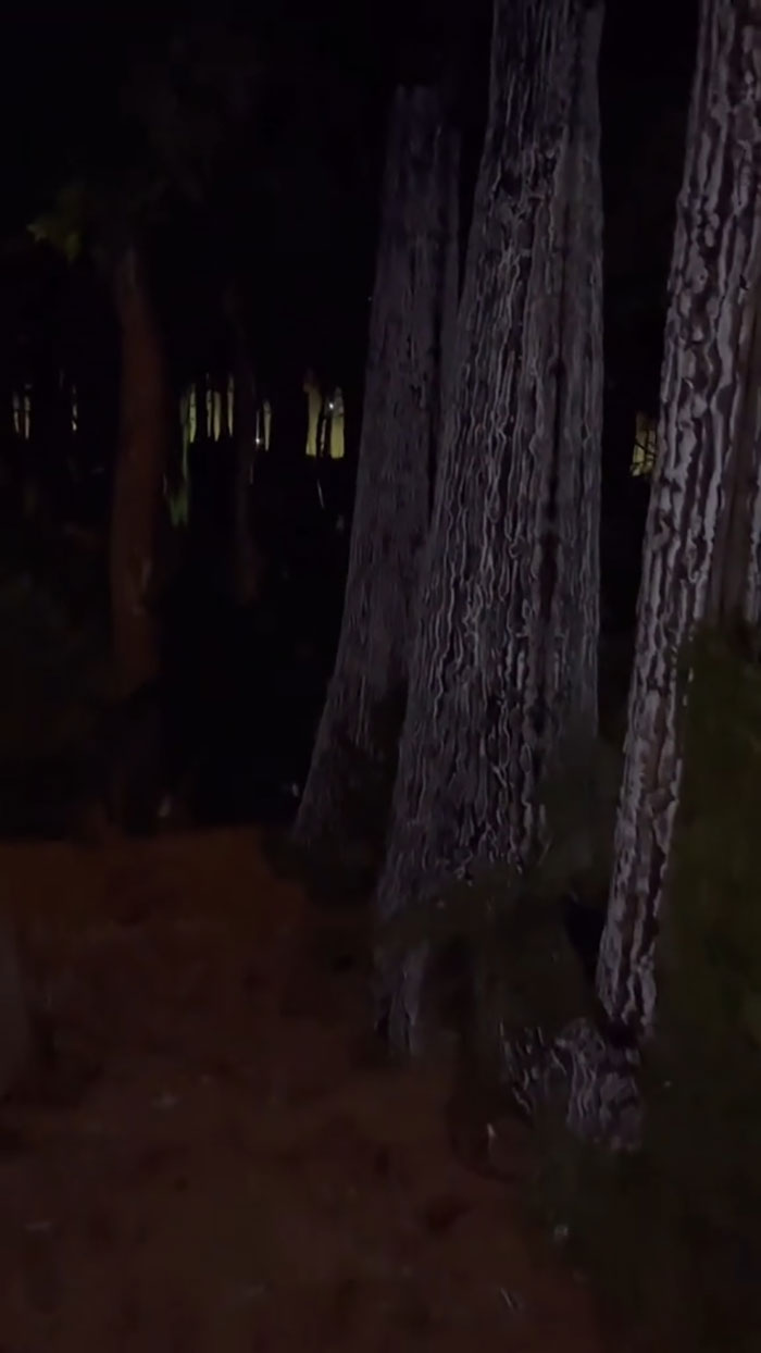 Architect Dad Builds Huge Halloween Installations Every Year, Goes Viral On TikTok