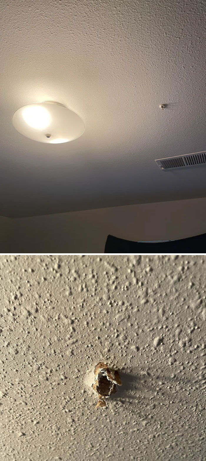 Neighbors Boyfriend Living Above Us Accidentally Discharged A Firearm Through Our Bedroom Ceiling