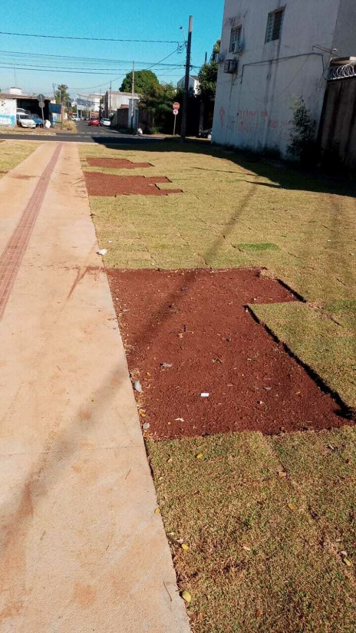 People Are Robbing Grass At A Square That Is Being Constructed In My Neighborhood