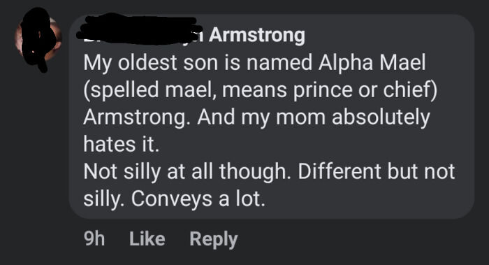 Comment about a unique baby name choice, "Alpha Mael," sparking mixed reactions in a parenting discussion.