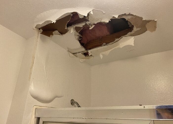 Til My Upstairs Neighbors Flooded Their Bathroom And Left It That Way For About A Week. Here's How I Found Out: