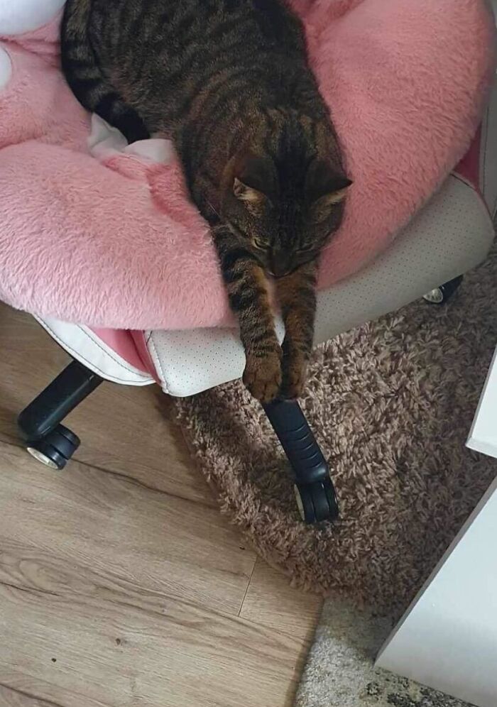 She's Just Resting In Her Throne