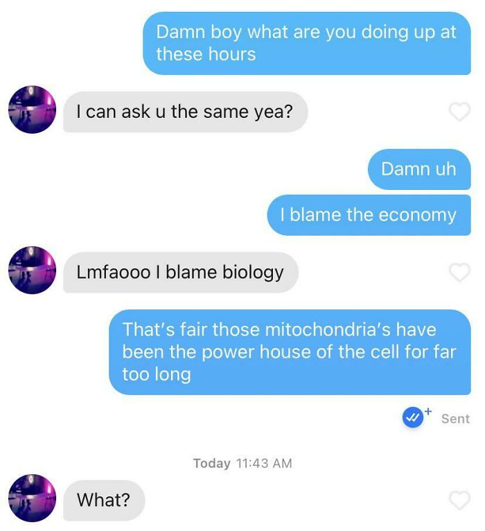 I Don't Know, I Thought It Was Funny