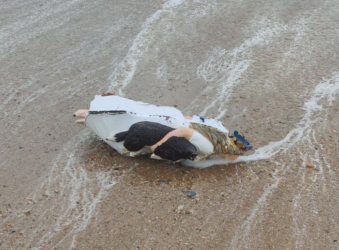 I Found A Washed Up Ship's Figurehead On My Walk