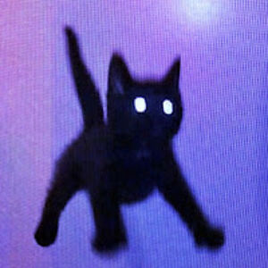 melfinabynum-solis avatar