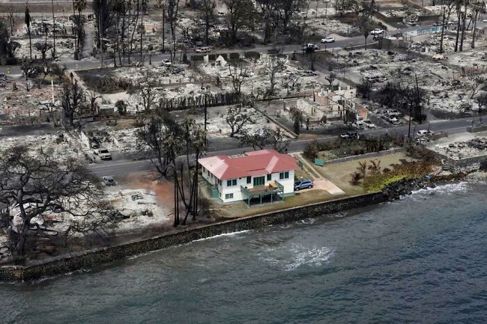 The Red House West Maui