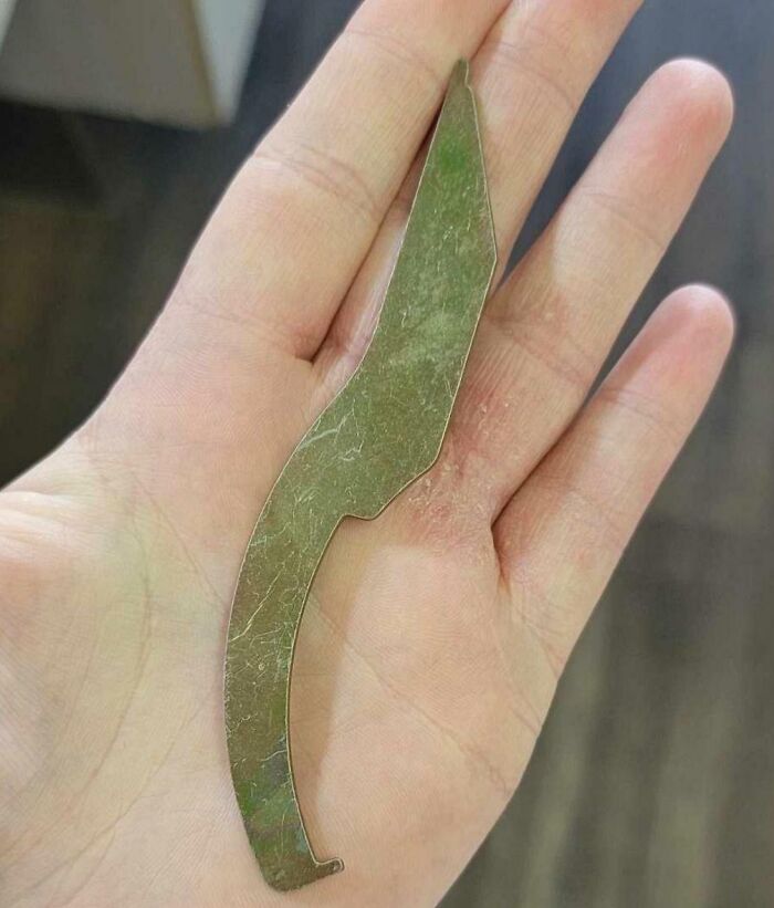 Friend Found This Outside Her Door With Some Damage At The Lock, What Would This Be?