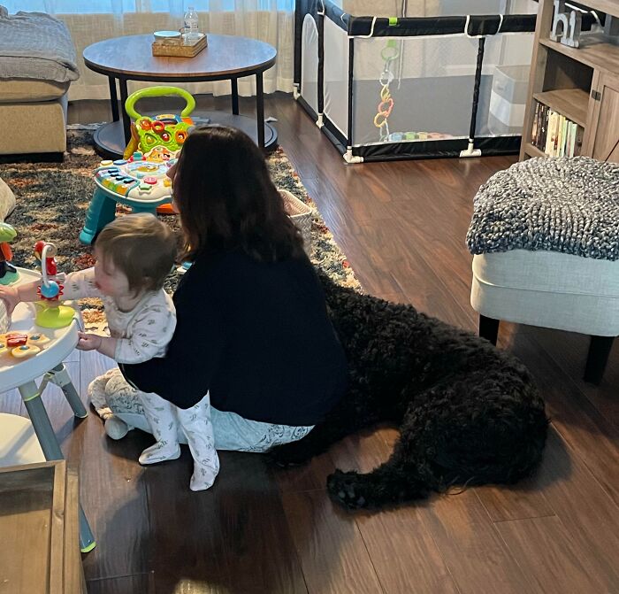 Had No Idea My Wife Was Partly Dog