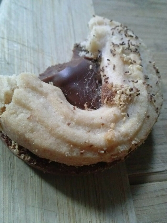 I'm Pretty Sure I Just Accidentally Ate A Spiders Nest. I Want To Take A Blowtorch To My Mouth