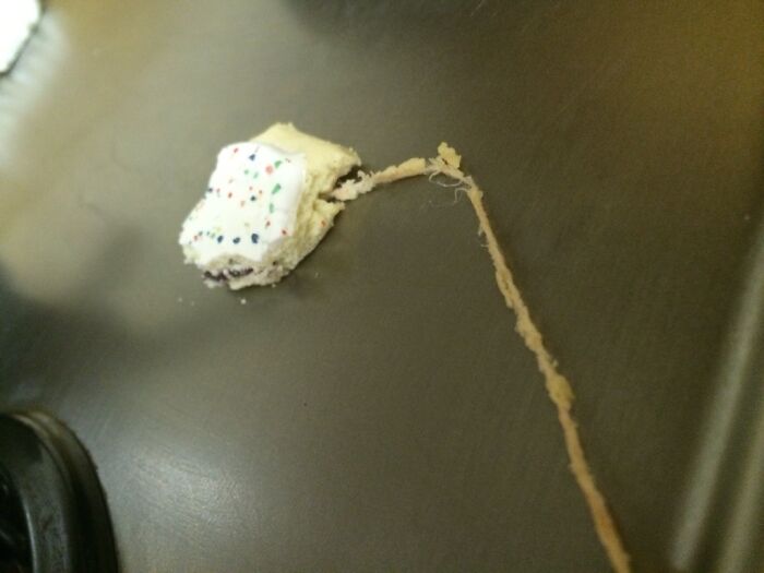 So I Was Eating A Poptart Today When