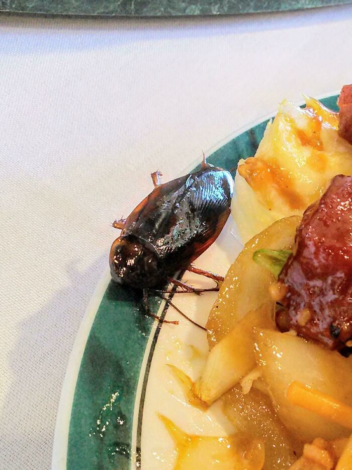 This Was In My Stir Fry, Luckily I Hadn't Started Eating Yet