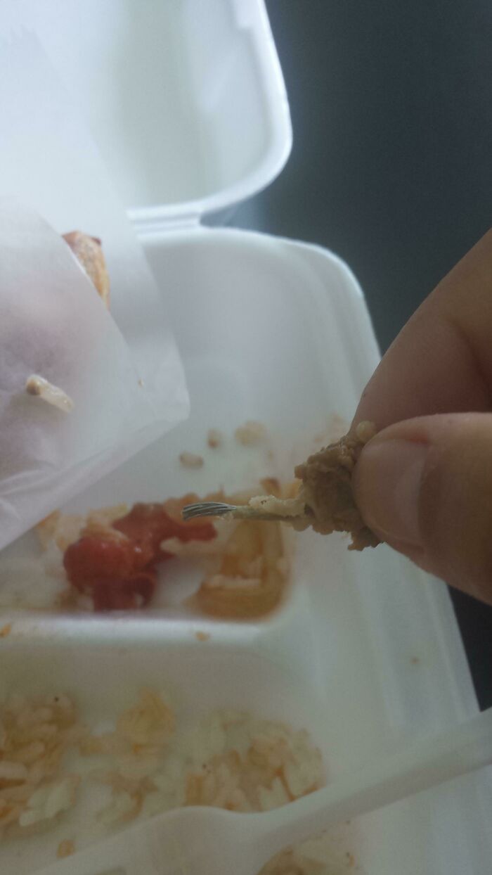 Was Eating Chicken From The Local Food Truck When Suddenly