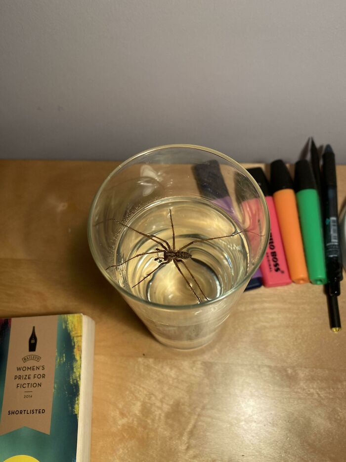 Woke Up For Some Water. Thank God I Turned On The Light Before Taking A Sip