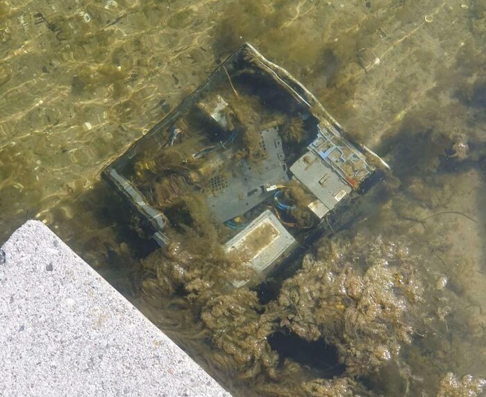 Found This Beauty While Out Camping