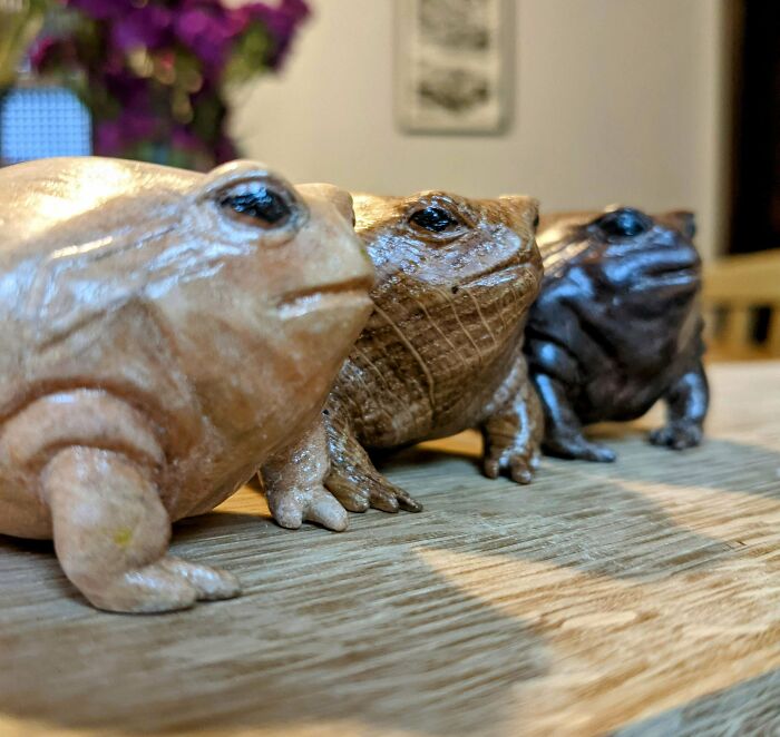 Carved A Small Handful Of Desert Rain Frogs Out Of Maple, White Oak, And Black Walnut! Love These Chunky Little Guys! Hope Y'all Do Too!