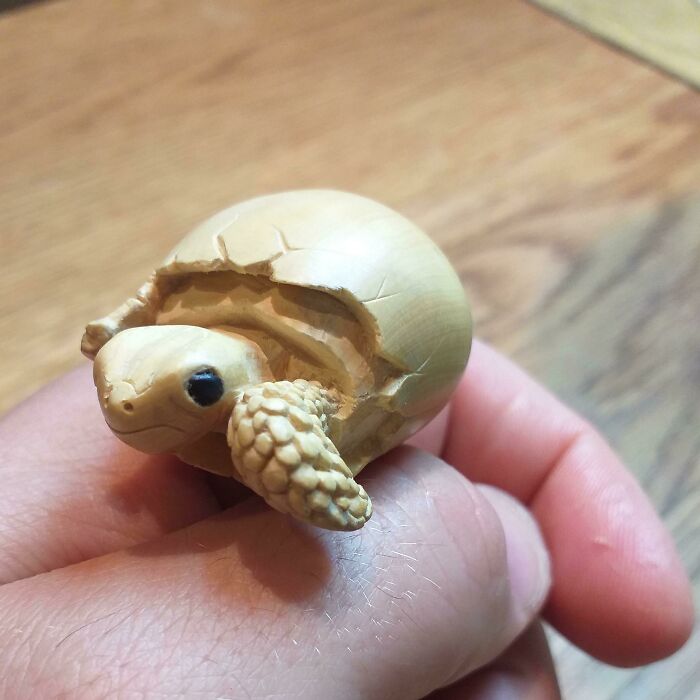 Baby Turtle Emerging From Its Egg. Hand Carved By Me, In Boxwood And Horn Eyes. Hope You Like It, Happy New Year To Everyone Particularly The Loyal Followers! Happy Carving!