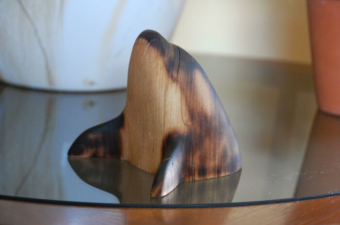 First Experiment With Charring