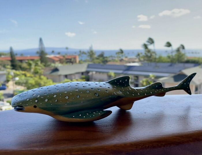 My First Whittling Project, A Whale Shark!