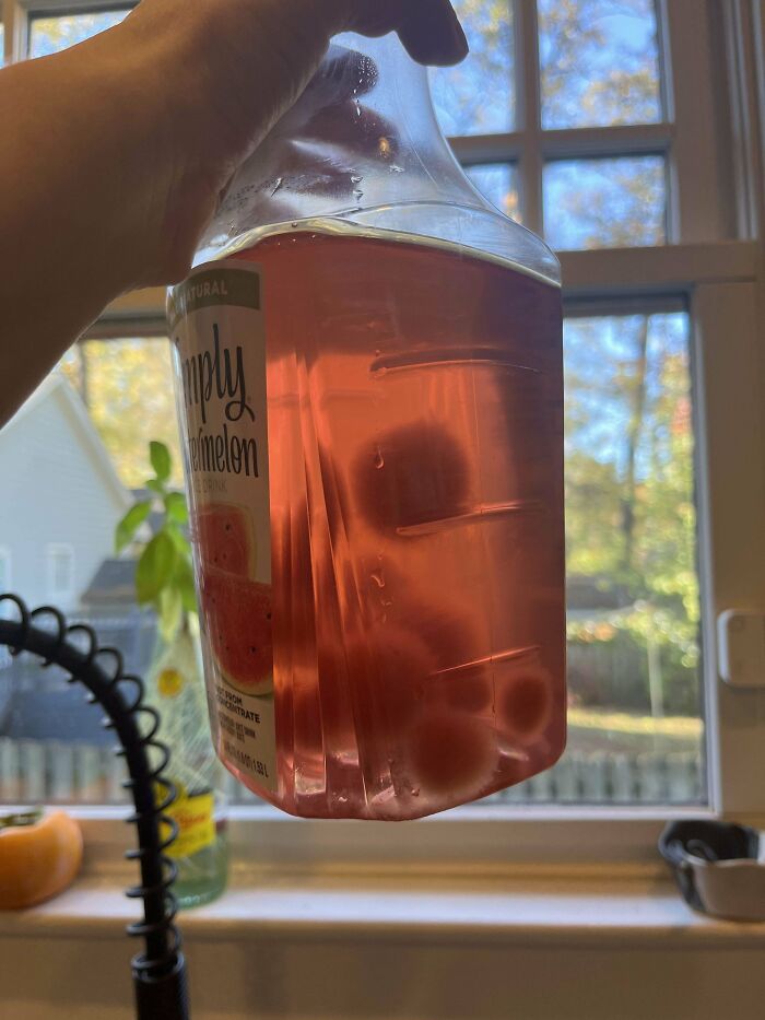 Moldy Watermelon Juice Breeds Little Jiggly Puffs