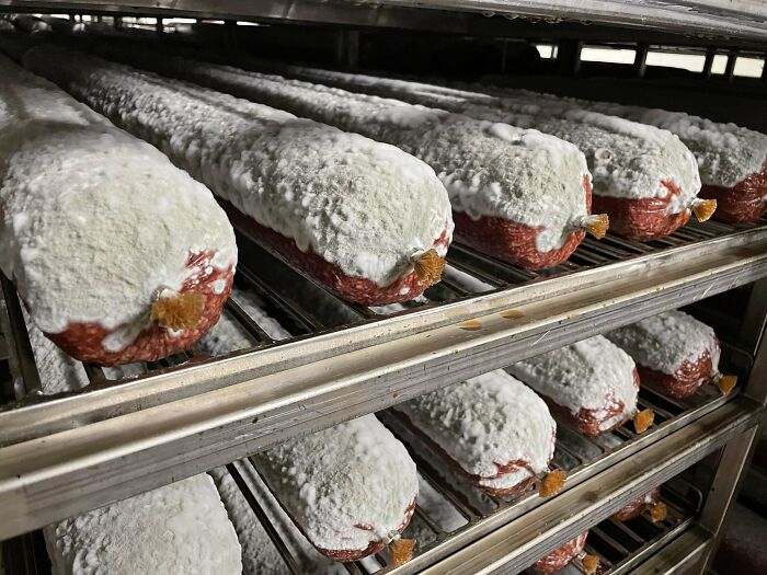 Work Has Been Neglecting The Salami Kitchen…