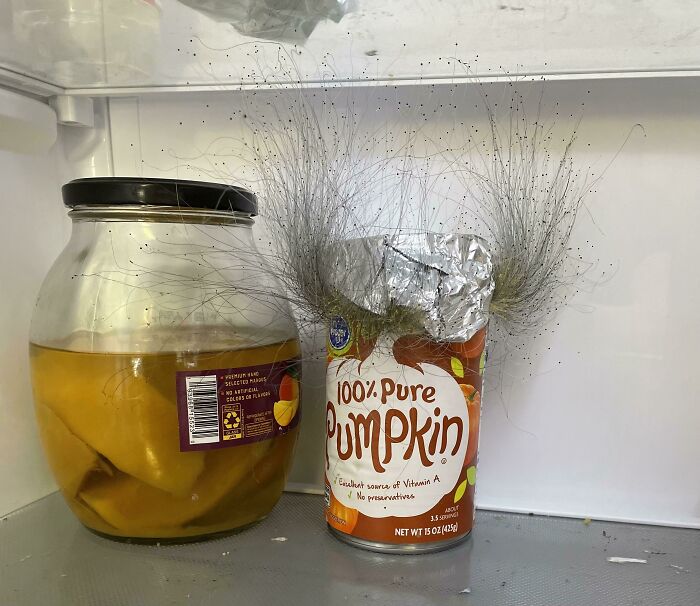 In The Back Of My Moms Fridge