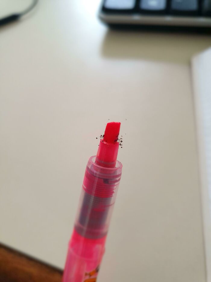 Til Highlithers Can Grow Mold