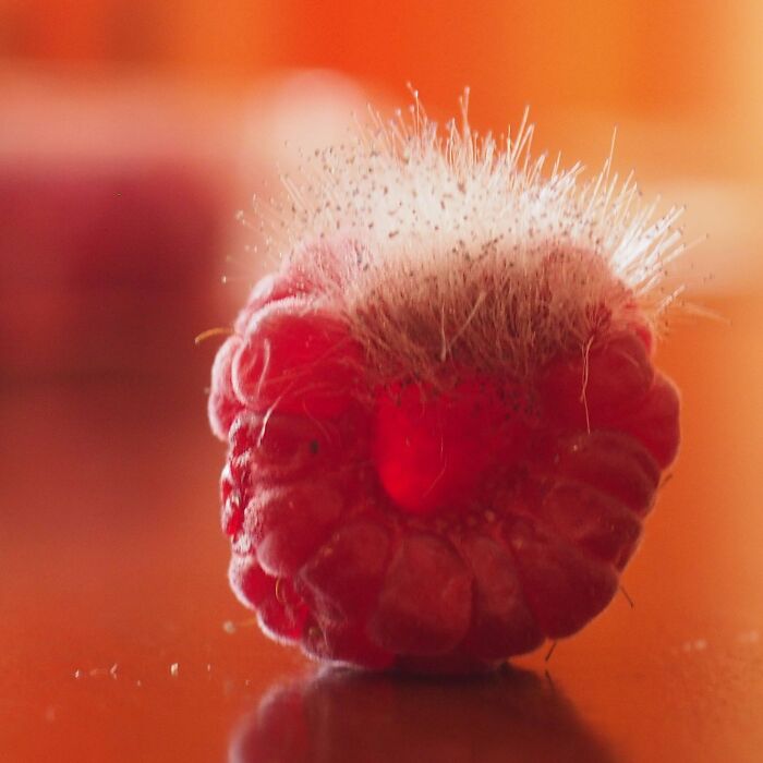 Even If Spoiled, It Still Proved To Be Useful :)