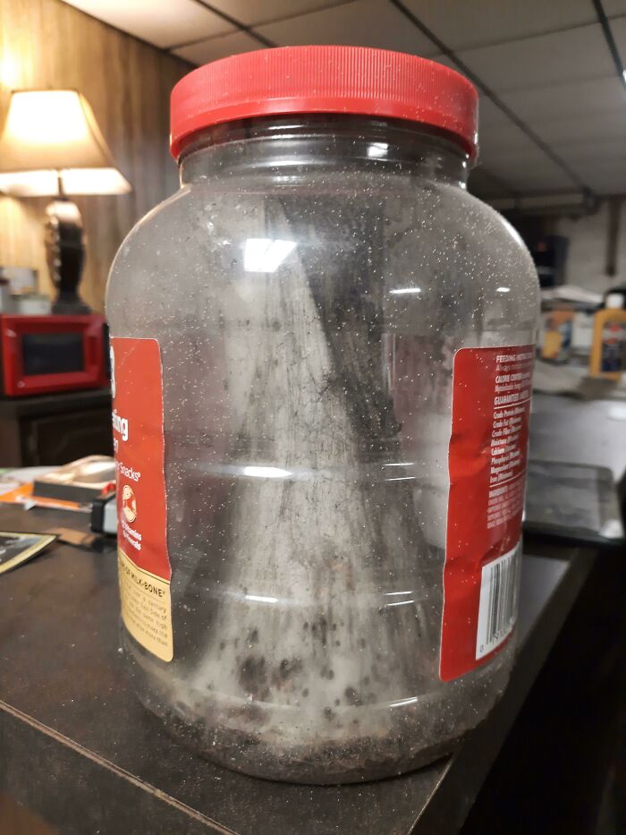 Found In A Forgotten Closet