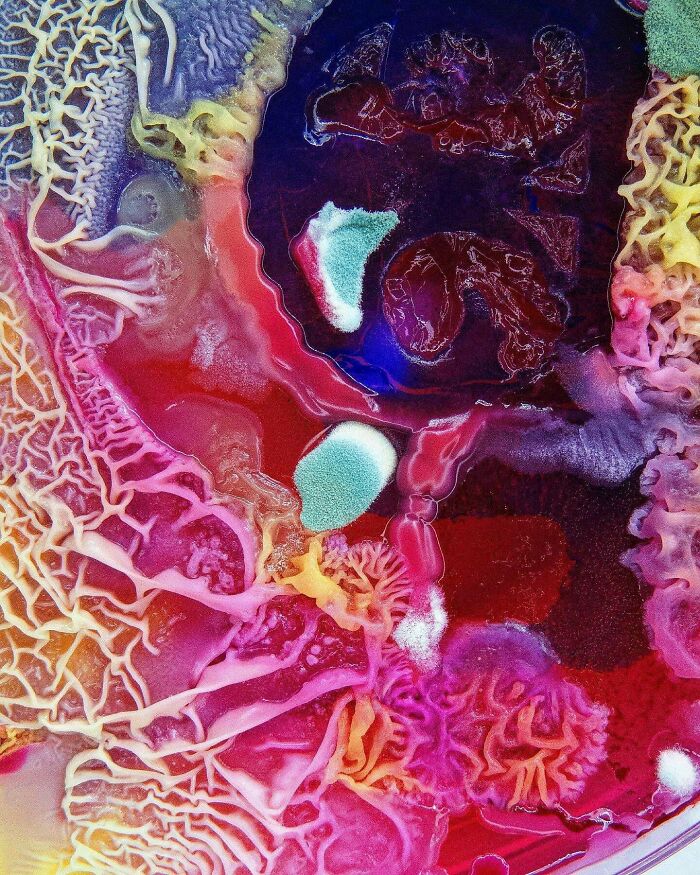 Art Of Molds😍🧫💎💕