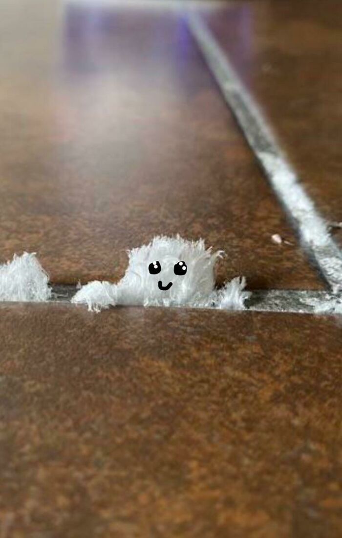 Sorry I Just Had To 🥰