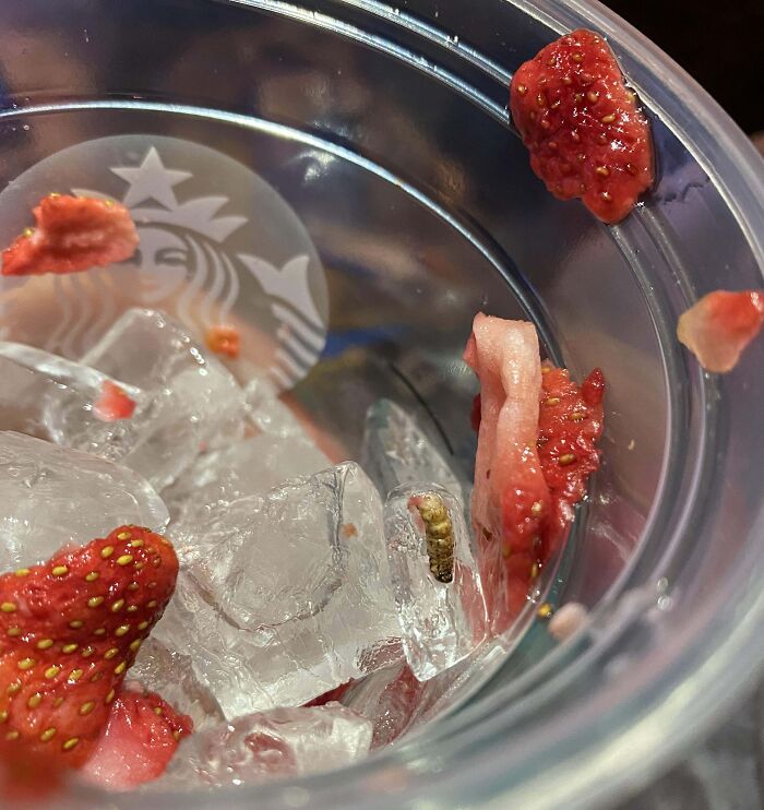 This Just Happened To Be In My Drink From Starbucks