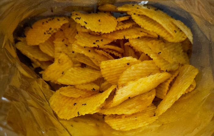 Ants Got Into This Bag Of Chips I Left Out Overnight And They All Died