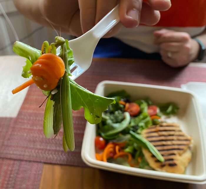 I Almost Ate A Praying Mantis That Was In My Salad